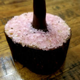 Rose Quartz Money Tree